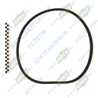 8PK-1230 Ремень поликлиновой 8РК1230 КАМАЗ (дв.Cummins) IVECO EuroCargo, EuroFire, MAZDA Mazda6, VOLVO FL10 IVECO Eurocargo II (2003-2008) Rubena