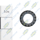 1/06156/71 Шайба с внеш.зубьями (сталь) ф8х15х1,5 ГОСТ10463-81 БелЗАН