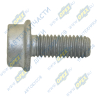 РV10005375 Болт С/И М8х20х1,25 Р=18 цилиндр. головка К=внутр.звезд. 9 фланцевый крепления трубки ЕГР Газель Некст дв.G21 ГАЗ