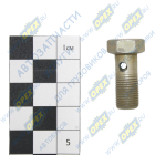 560.3548276 Болт-штуцер М10х22х1 Р=13 К=14 отв. ф5; Р=14 К=13/14 4скв.отв. ввертной (29х0х0) ГАЗ