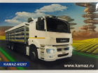 S96012121350000001 Магнит КАМАЗ КАМАЗ-УВК