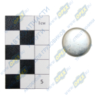 853829 Заглушка (сталь) ф20 h=6 боковая блока цилиндров Камаз КАМАЗ