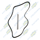 8РК1614 Ремень поликлиновой 8РК1612 генератора Камаз (дв.Cummins) MB Axor 2 (2004-2021); КамАЗ 5490, MB (аналог А0019932596) МАРК