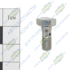 3905307 Болт-штуцер С/И М6х15х1 Р=8 К=10 1 отв. обратки Cummins BT, EQB, 6CT МАРК