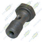 36-1104787 Болт-штуцер М10х22х1 Р=13 К=14 отв. ф5; Р=10 К=13/14 САЗ-РУП