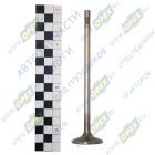 5340.1007010 Клапан впускной ЯМЗ-534 ЯМЗ