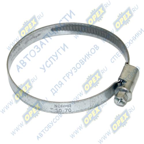 01263565060 Хомут червячный ф50-70 мм; w1 (оцинковка) Norma