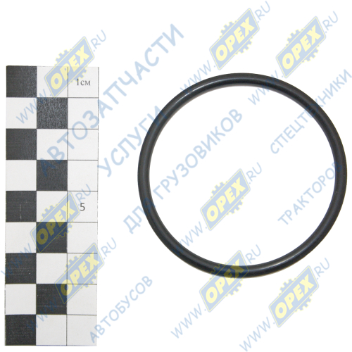 060-066-36 Кольцо (РТИ) круг.сеч. 060-066-36 ГОСТ-9833-73 NQK