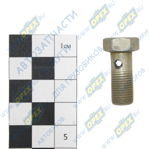 560.3548276 Болт-штуцер М10х22х1 Р=13 К=14 отв. ф5; Р=14 К=13/14 4скв.отв. ввертной (29х0х0) ГАЗ1